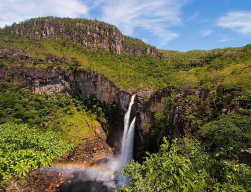 Goias, lindo demais