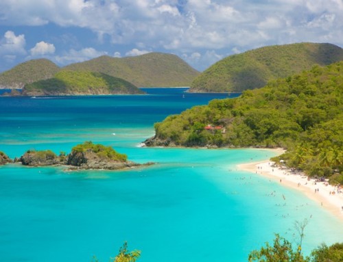 Un paradis inattendu